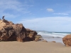 Strand und Felsen bei Mallacoota