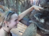 Koala knuddeln :)